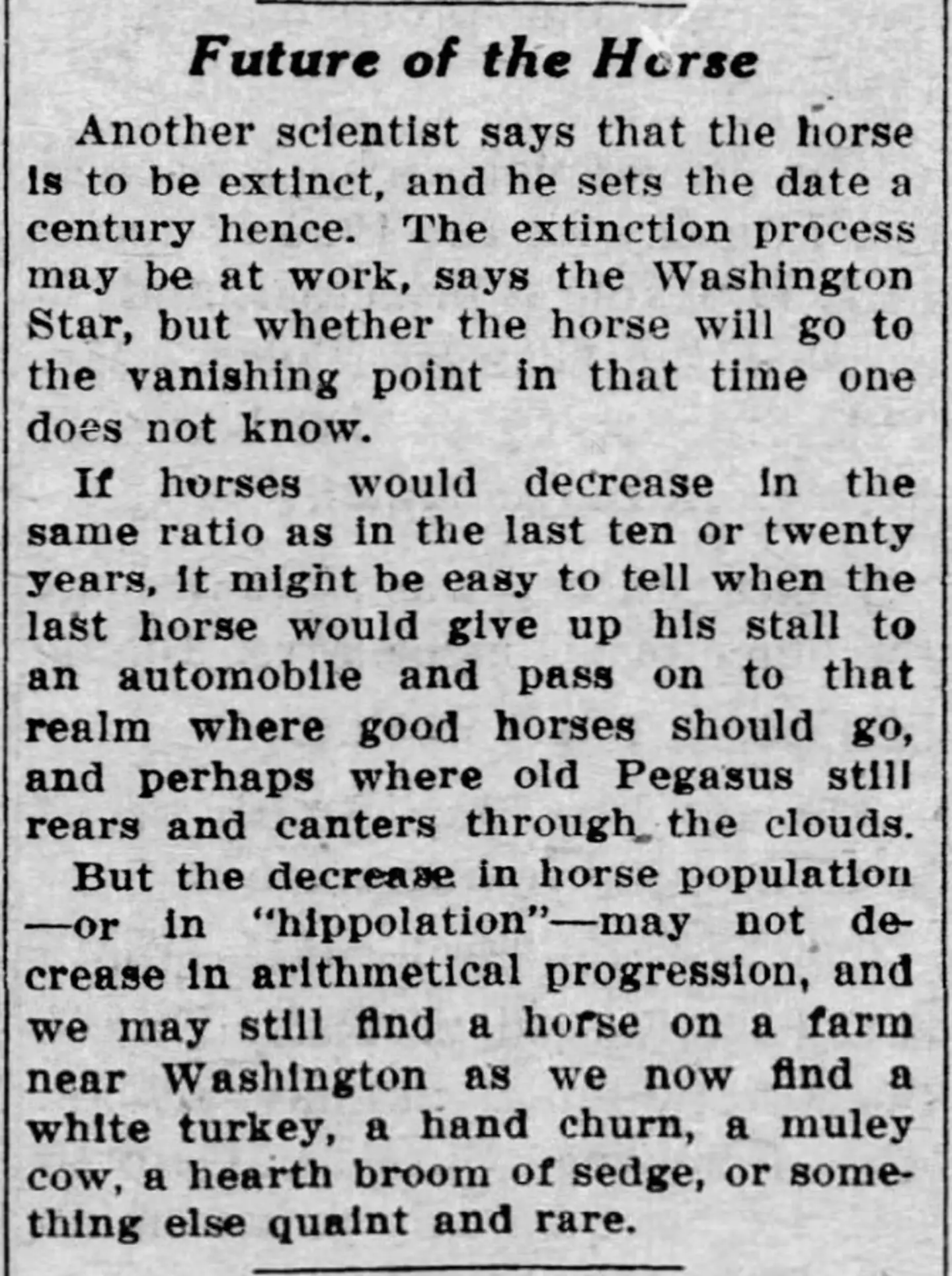 Some thought horses would be wiped out completely due to the rise of cars.