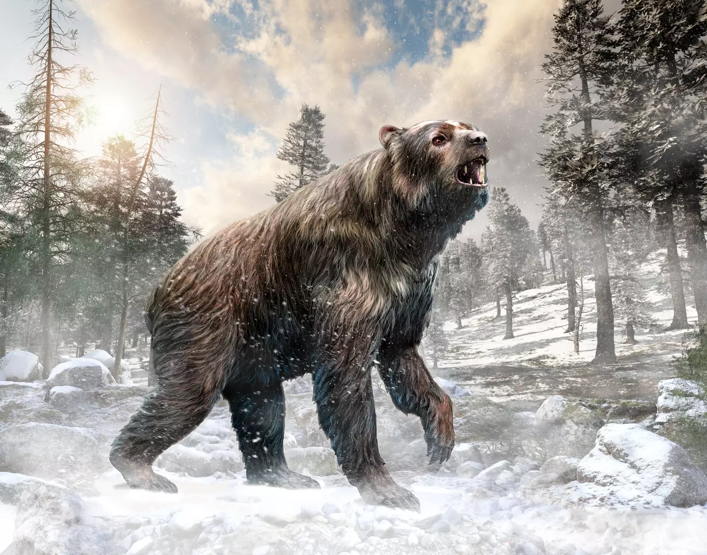 Scientists may bring the 11,000-year-old bear back (Getty Stock Photo)