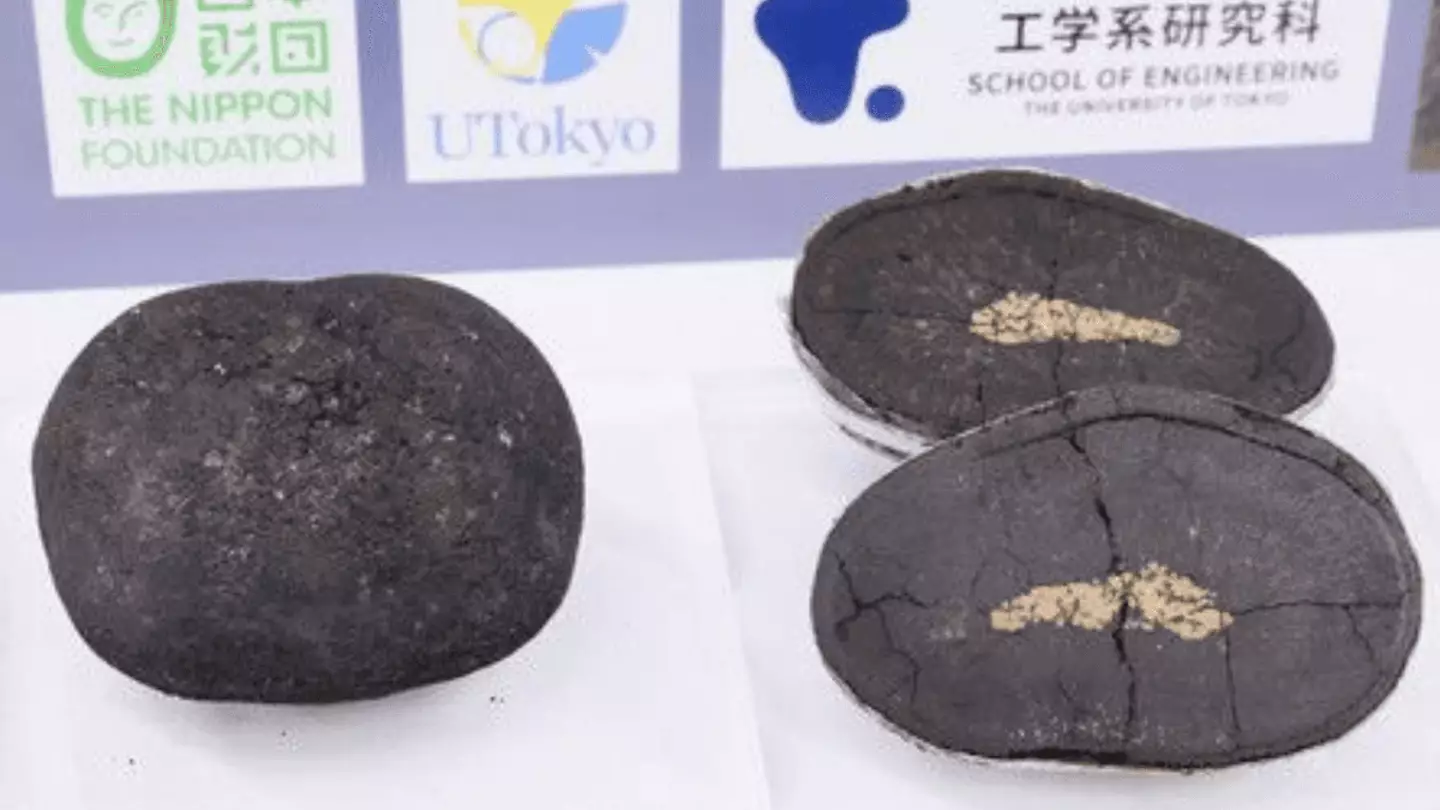 Experts want to commence commercialization from 2025. (The Nippon Foundation)