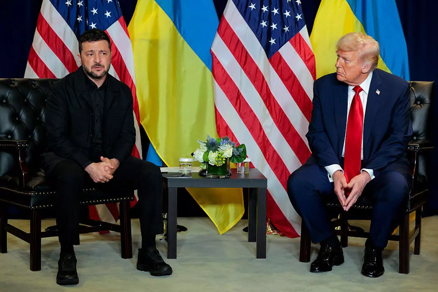 Donald Trump and Volodymyr Zelenskyy have been talking (Chip Somodevilla/Getty Images)