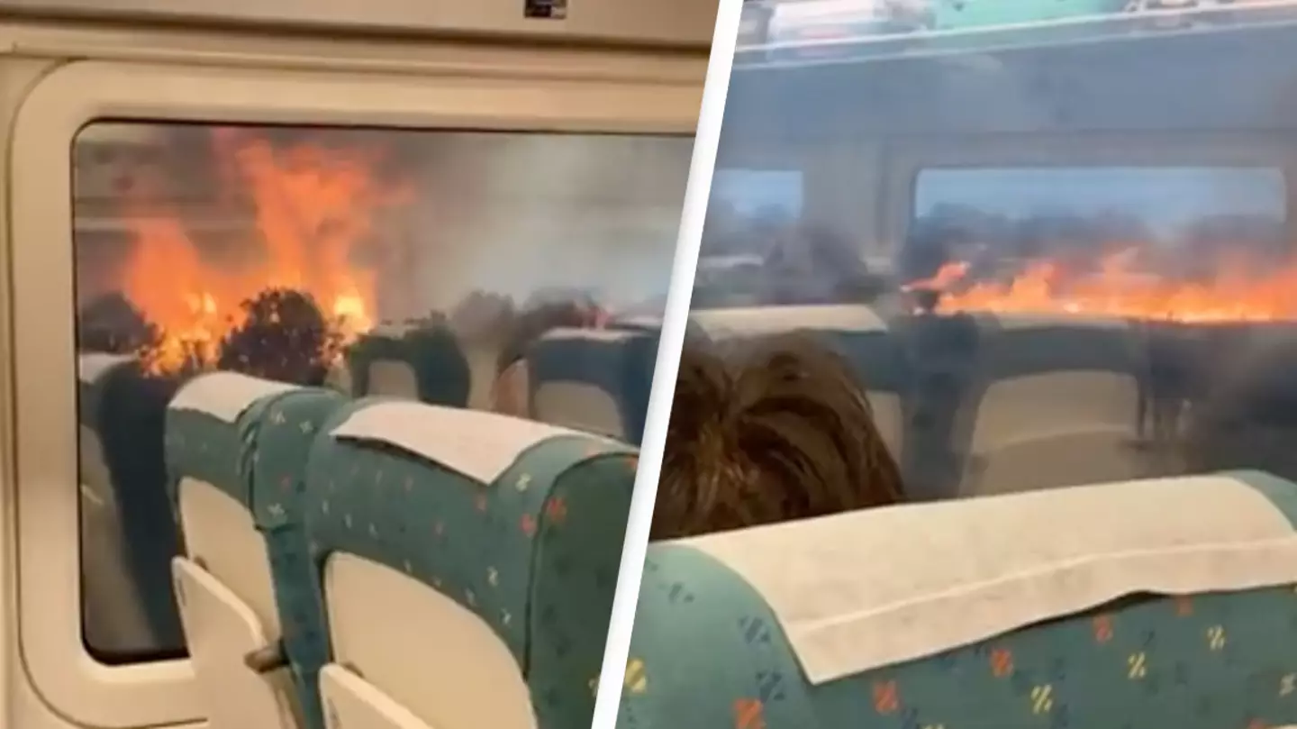 Terrifying Footage Shows Wildfires Raging Either Side of Train Tracks As Heatwave Forces Evacuations