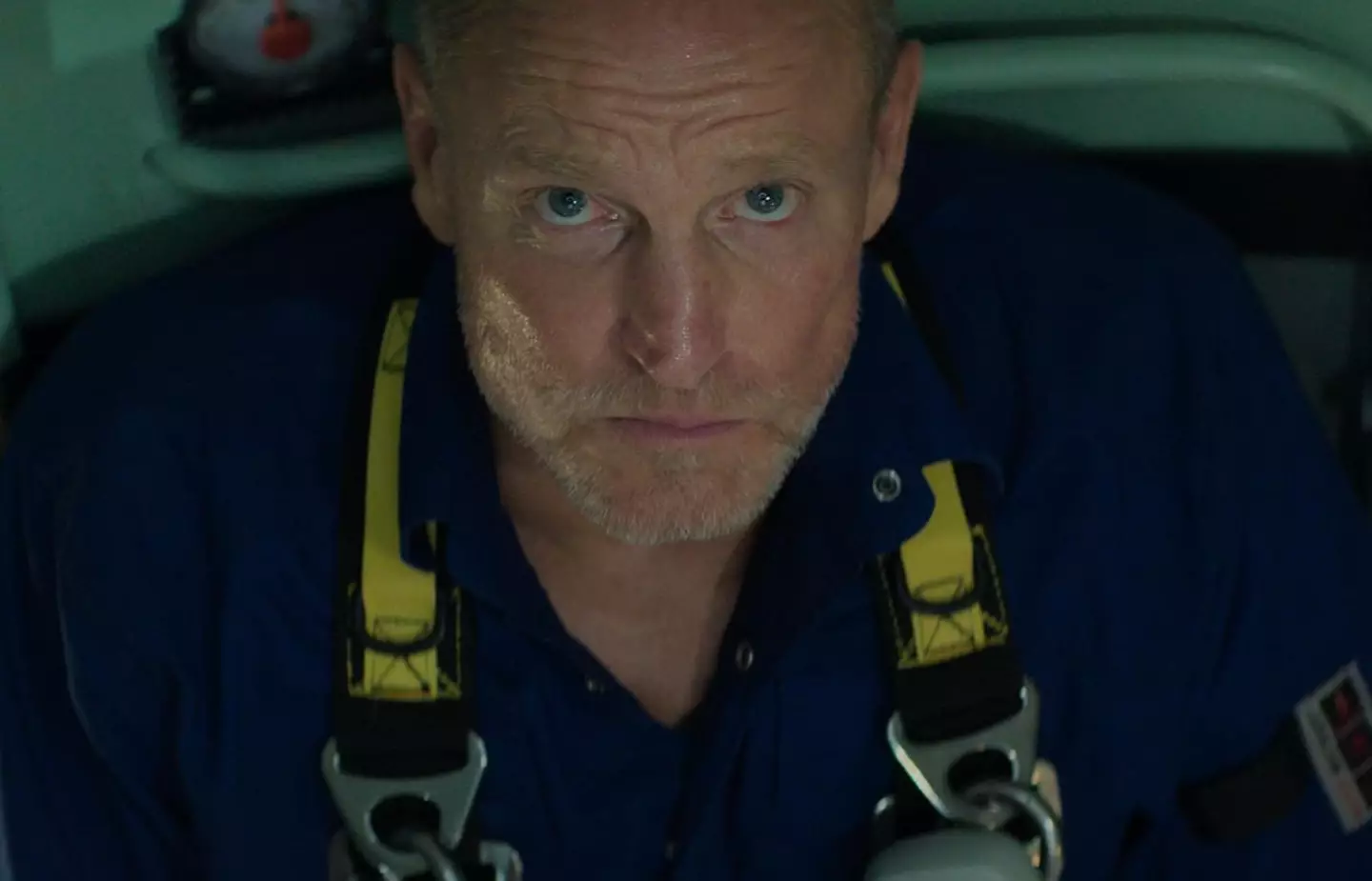 Cole noted Harrelson acted like a 'coach' figure (Focus Features)