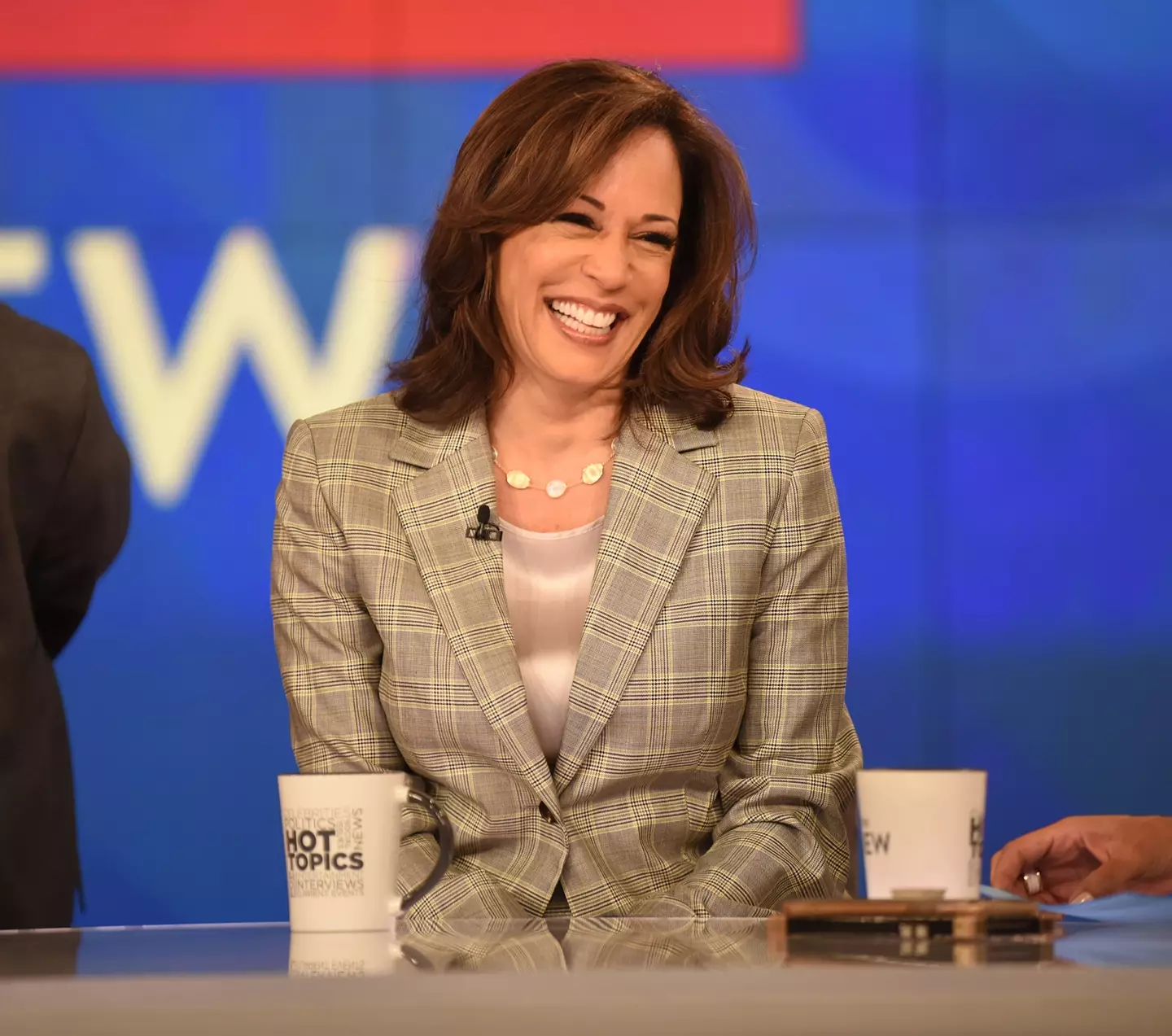 Kamala Harris called Trump a 'con man' (Jenny Anderson/Disney General Entertainment Content via Getty Images)