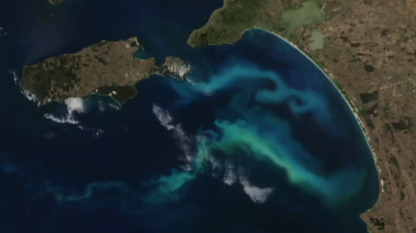 NASA Earth Observatory