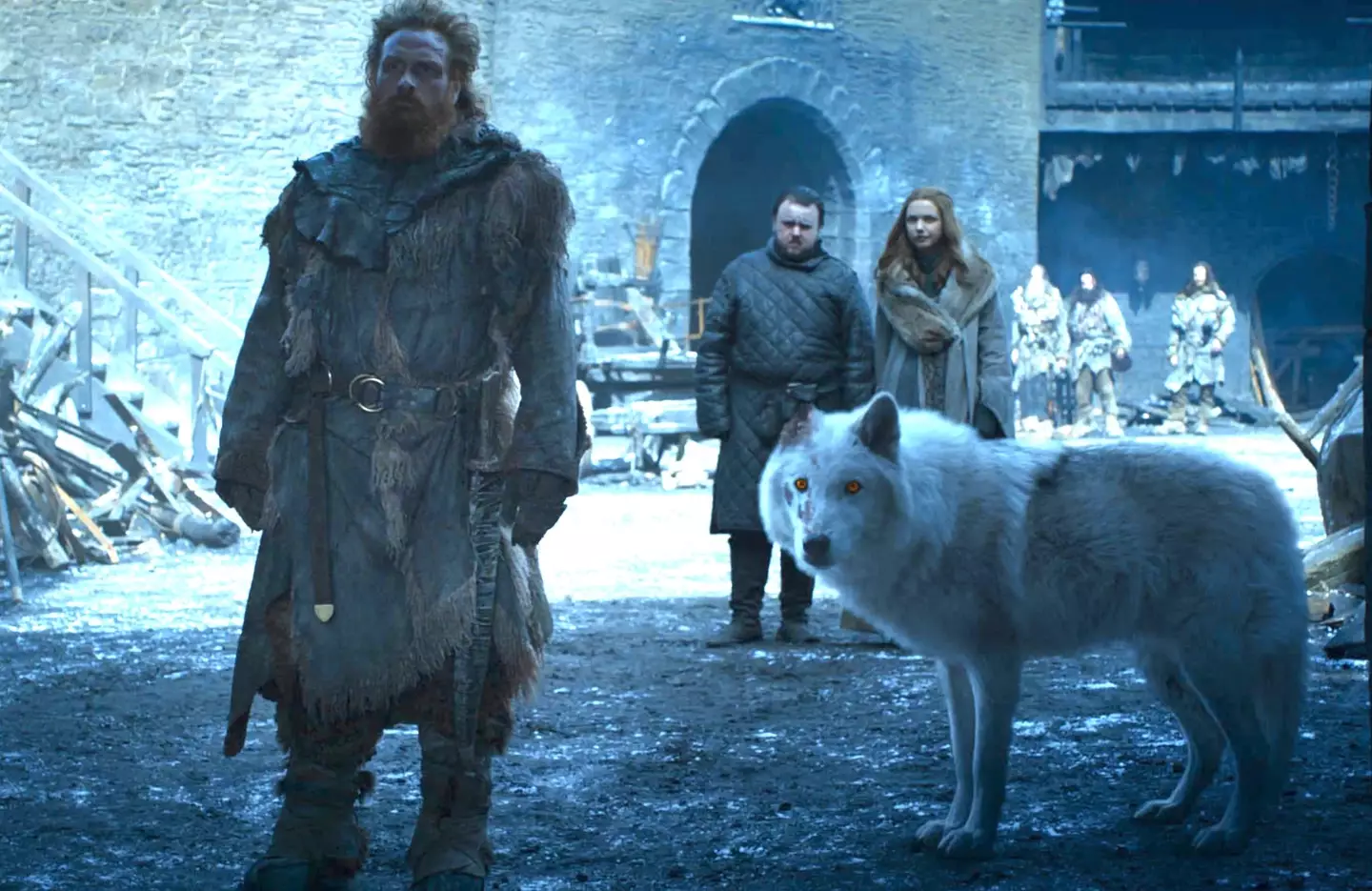 A gray wolf was used to recreate a dire wolf in Game of Thrones (HBO)