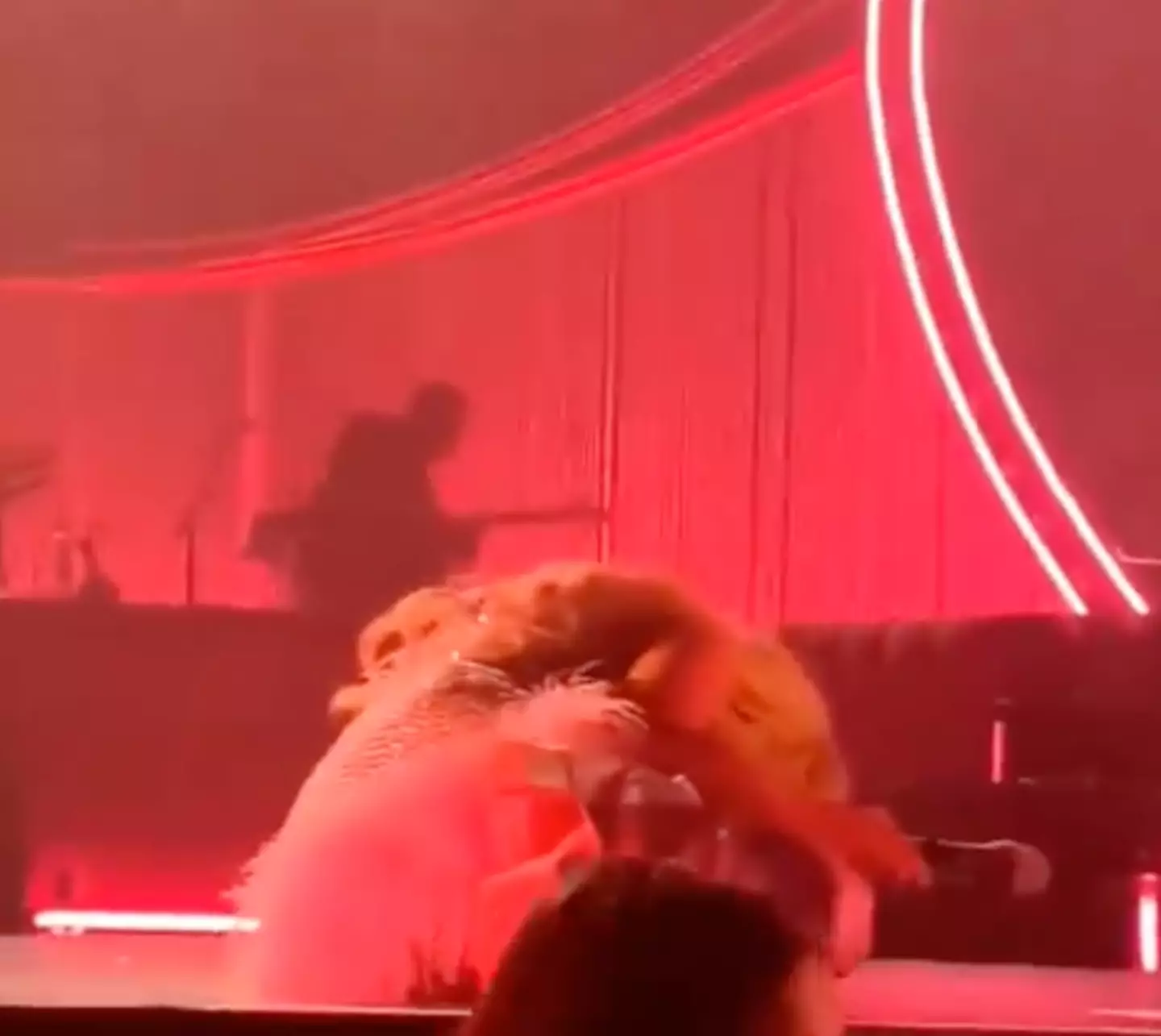 Carpenter was literally floored by the fan's admission. (@InternetH0F/X)