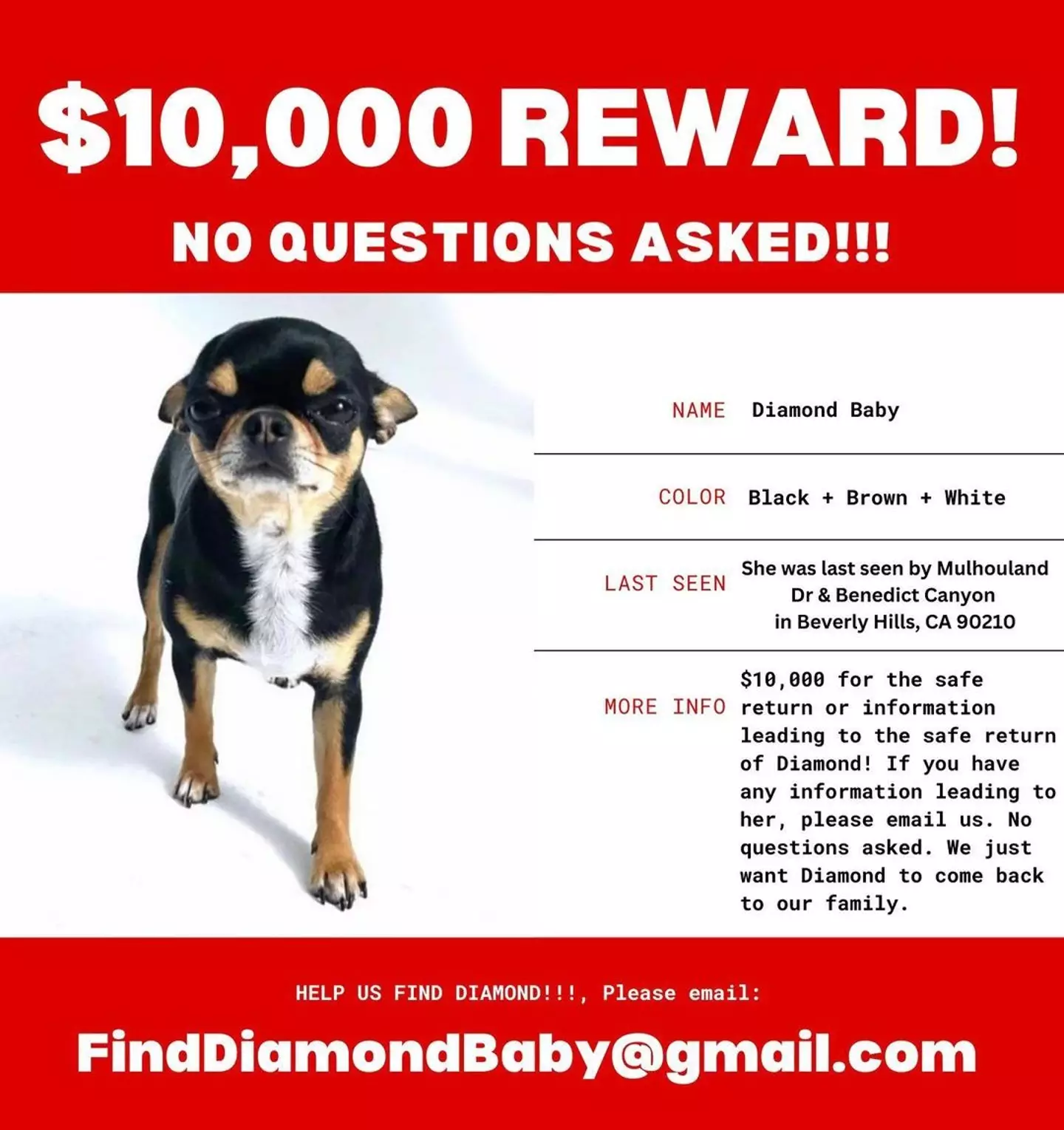 The social media star is offering $10,000 to anyone who can help to find Diamond Baby.