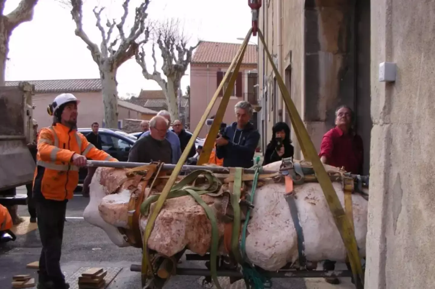 The dinosaur bones were found in the south of France.