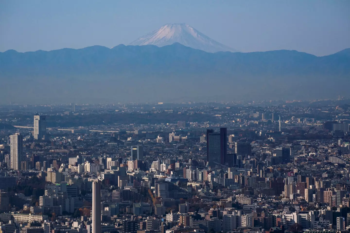 Japan's economy was among those that shrunk (KAZUHIRO NOGI/Contributor/Getty)