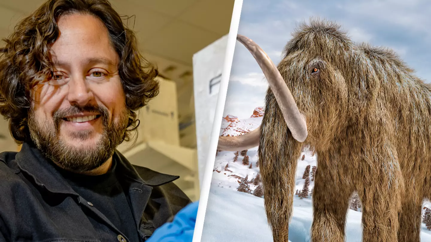 Man trying to 'de-extinct' the woolly mammoth says it's highly likely they'll be back by 2028