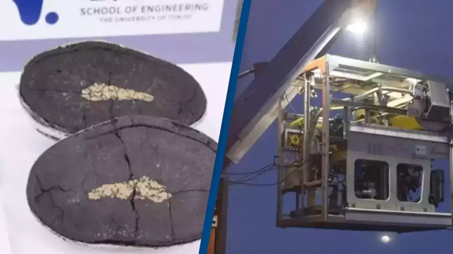 Expert reveals devastating environmental impact of Japan's $26,290,780,000 deep sea discovery