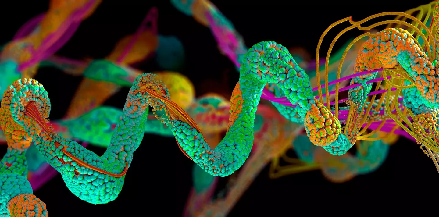 The study involved amino acids (Getty Images)