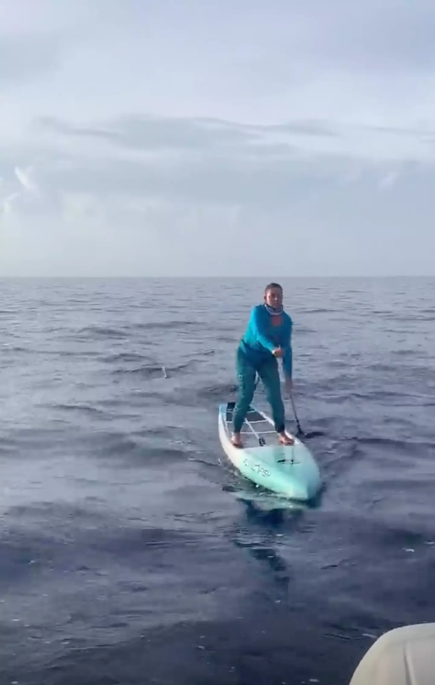 Malea was unaware of the shark tailing her board.