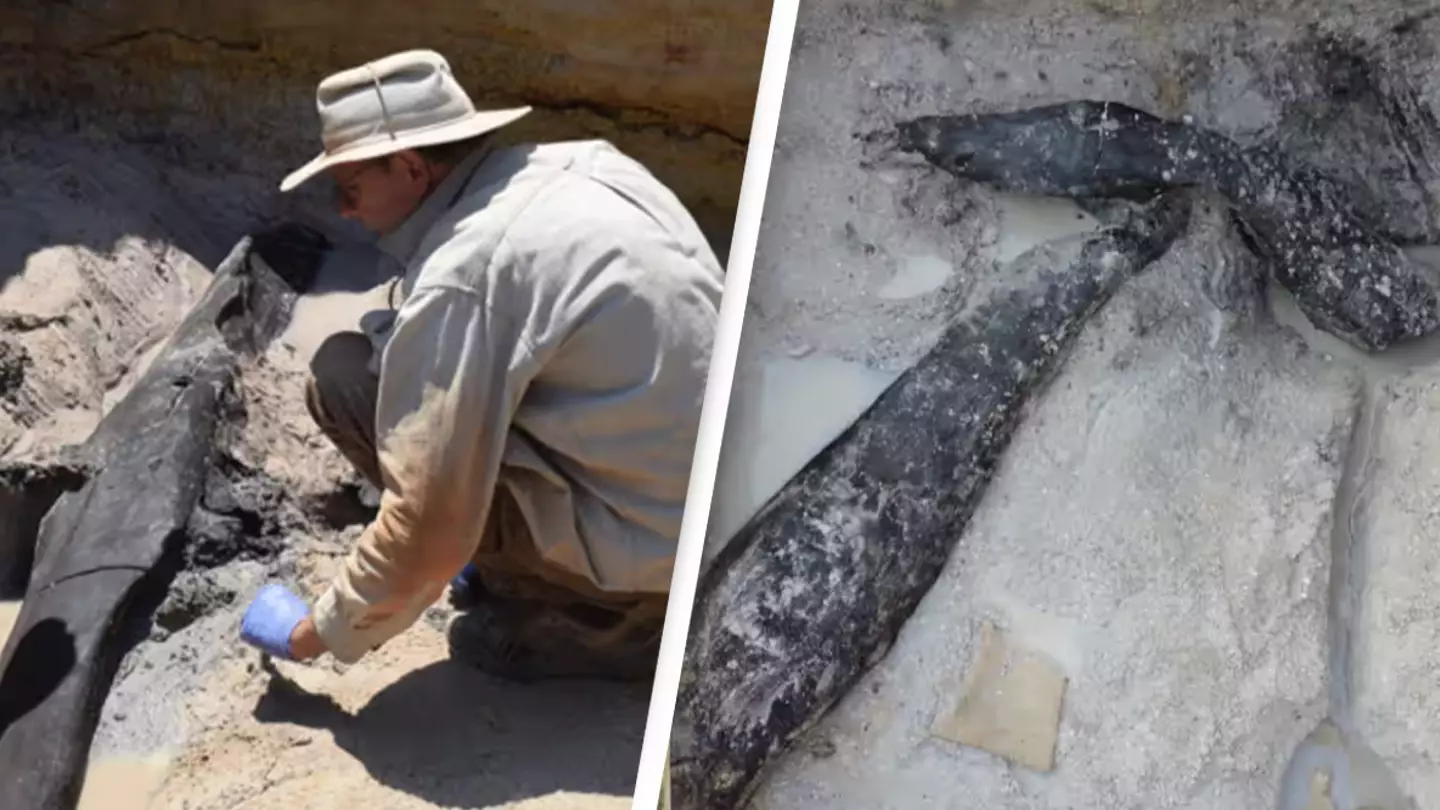 476,000-year-old wooden structure discovered in first-of-its-kind find that could redefine history