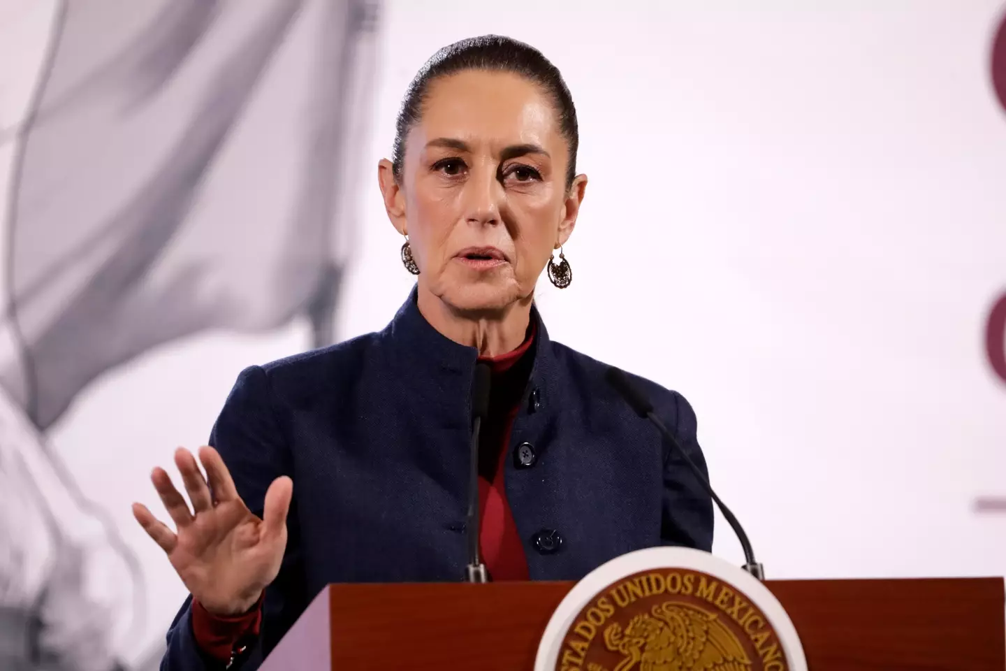 Mexico President Claudia Sheinbaum has hit out at Google (Luis Barron/ Pixelnews/Future Publishing via Getty Images)