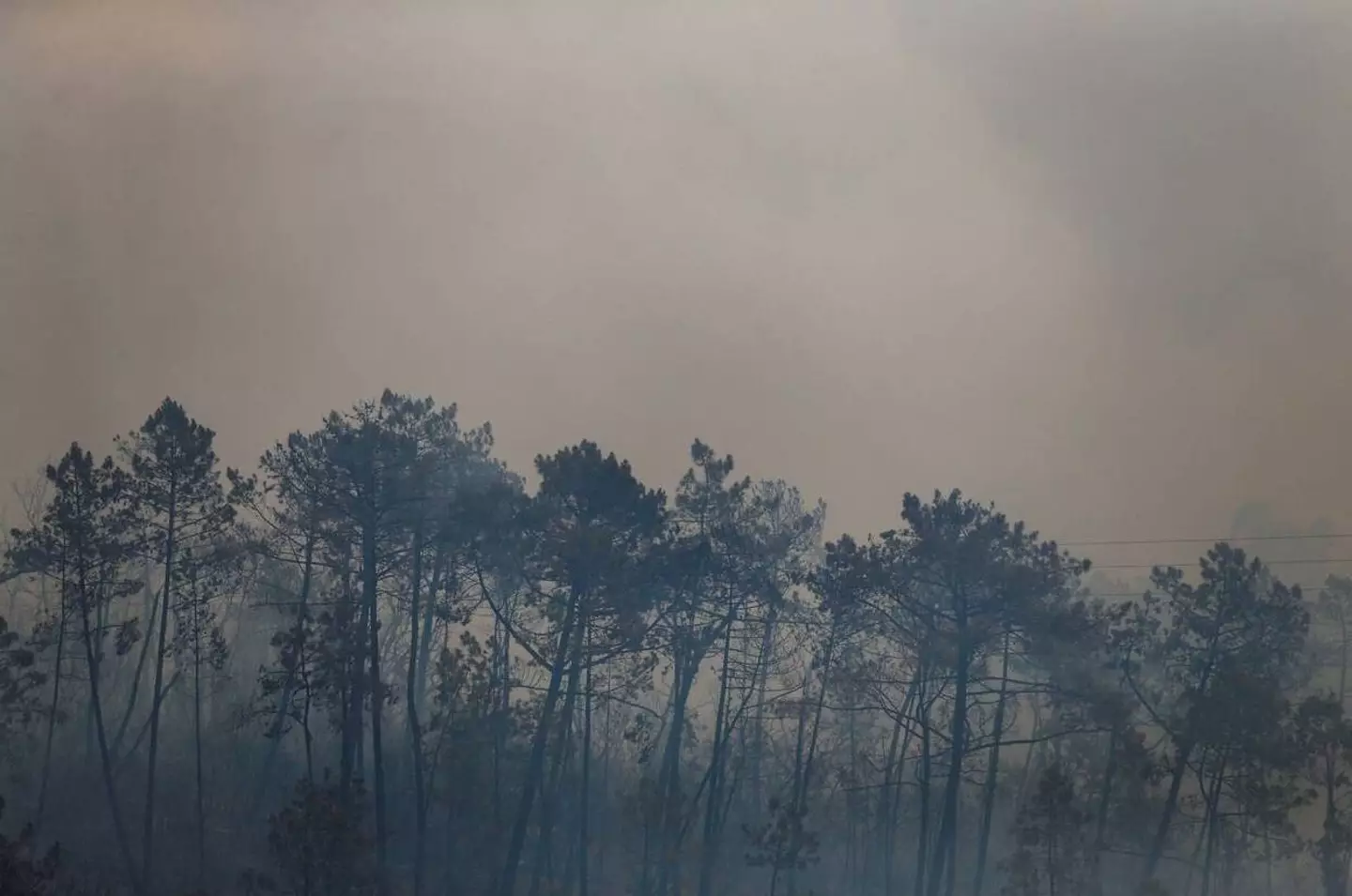 Extreme heat has been seen over much of Europe.