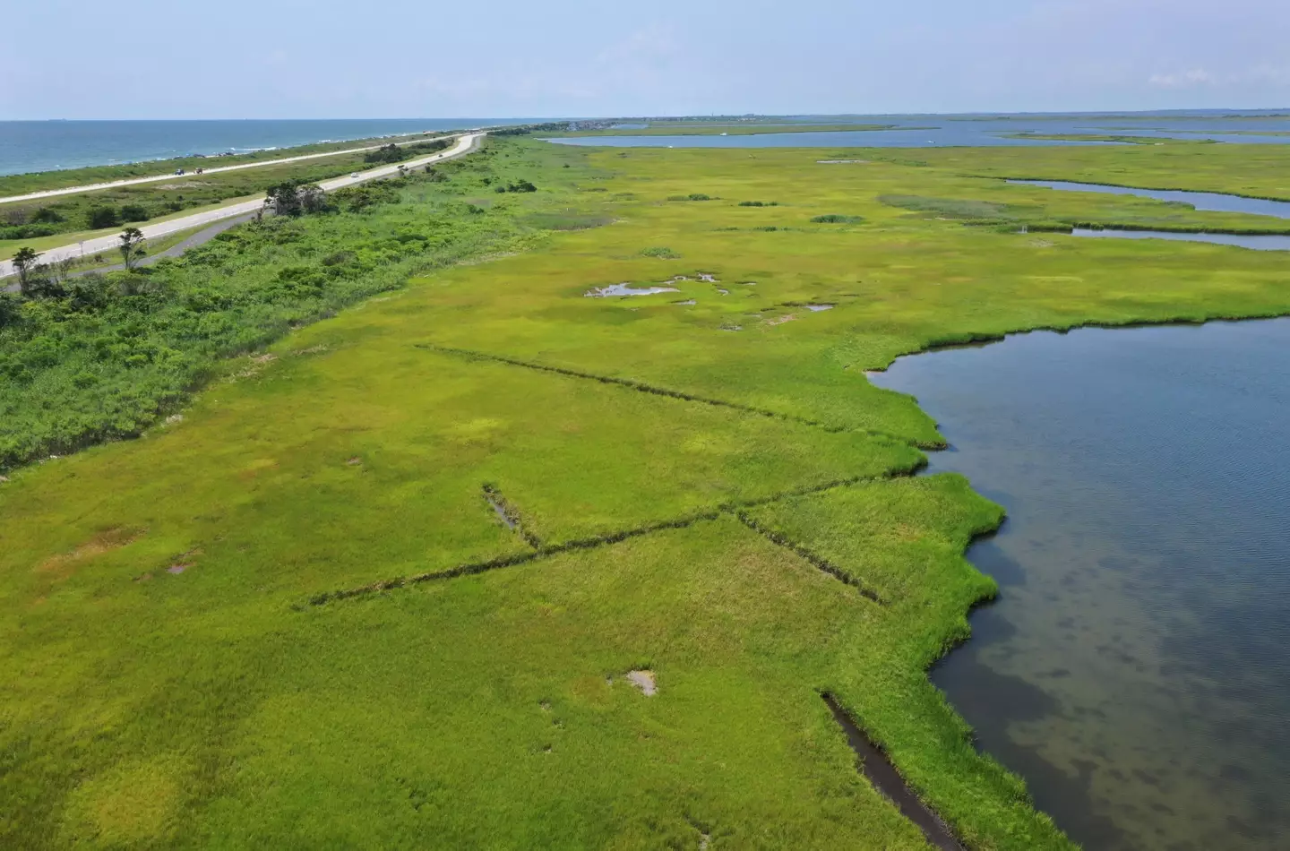 A number of bodies were discovered along Ocean Parkway.