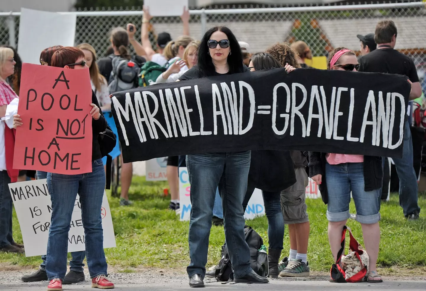 The park has been the target of protests for years, including this one in 2013 (Tara Walton/Toronto Star via Getty Images)