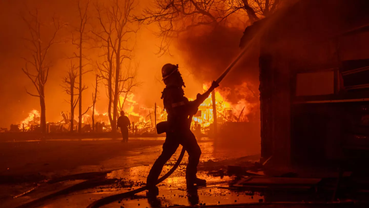 David McNew/Getty Images