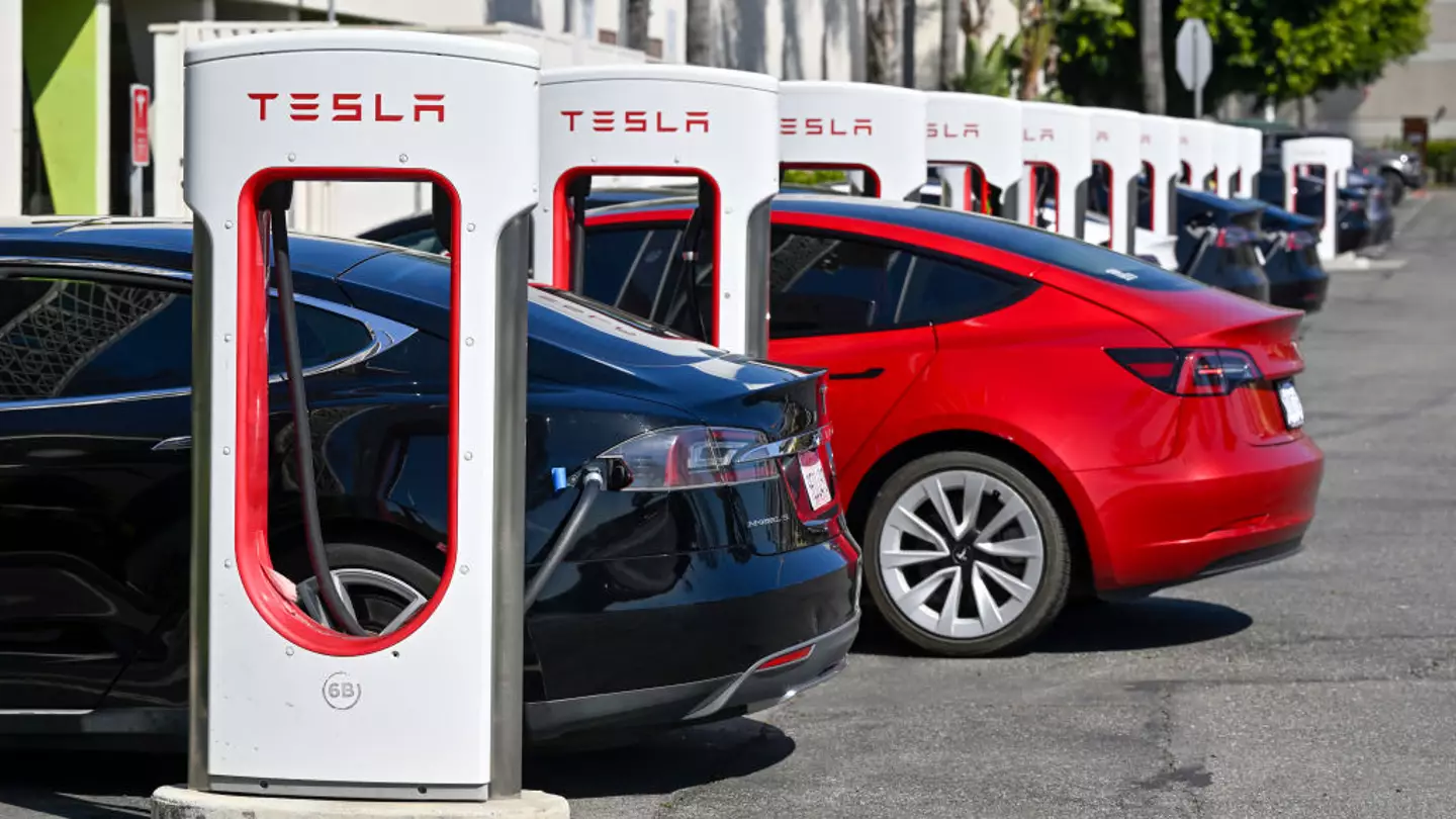 Tesla owner reveals genius way he managed to cut back on electric costs after sharing six month bill