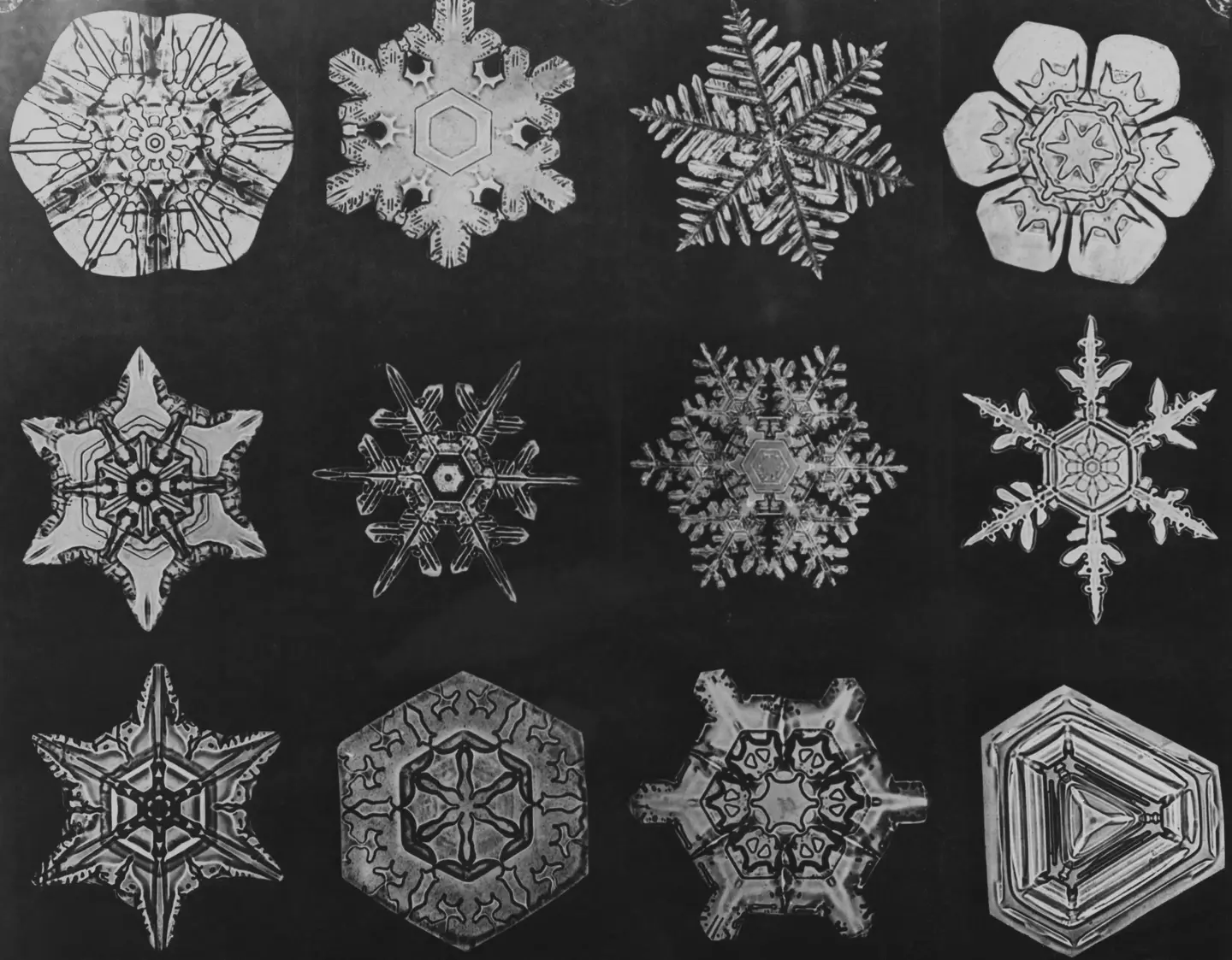A snowflake begins to form when an extremely cold water droplet freezes onto a pollen or dust particle in the sky.