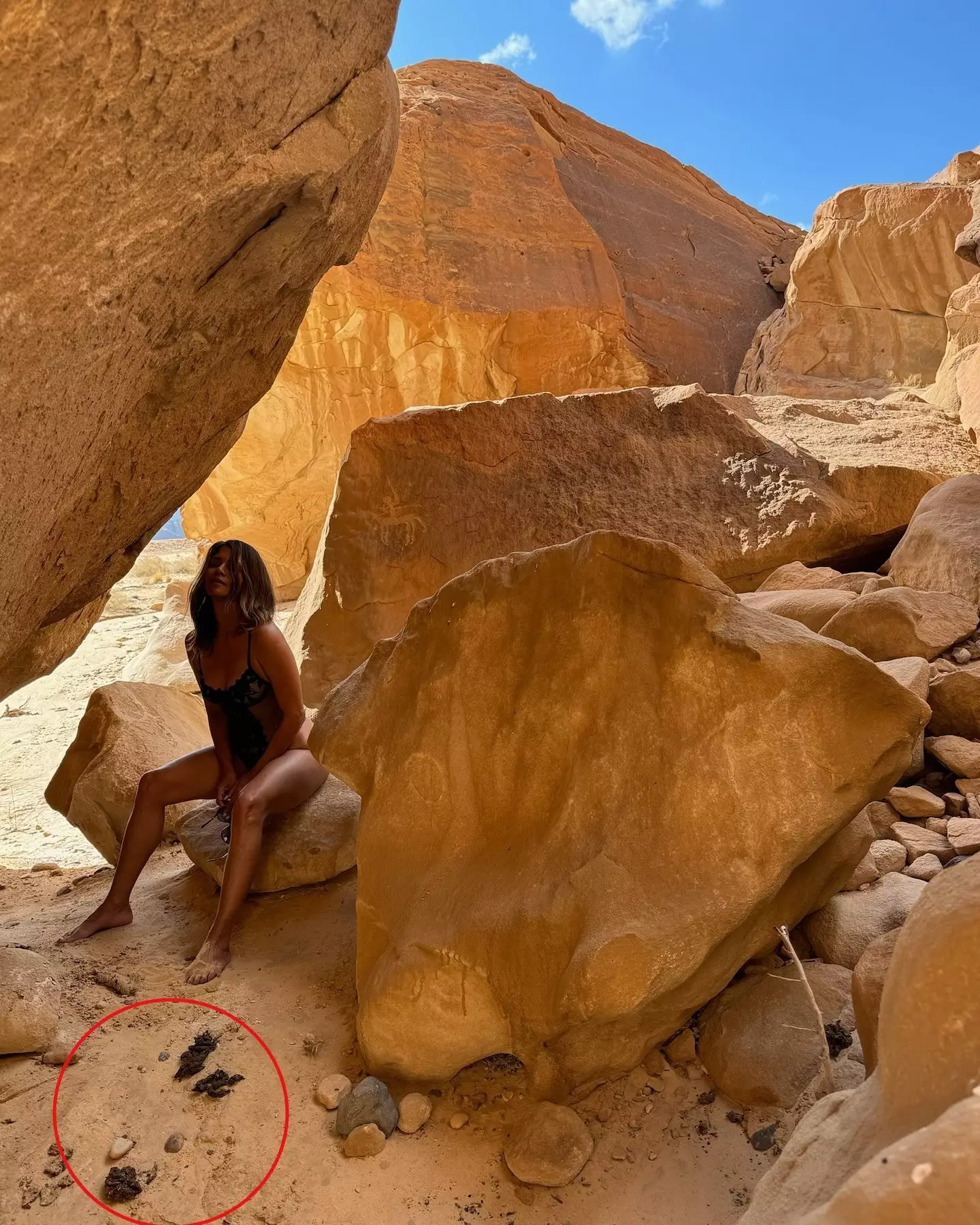 People pointed out the apparent poop in Halle Berry's photo.