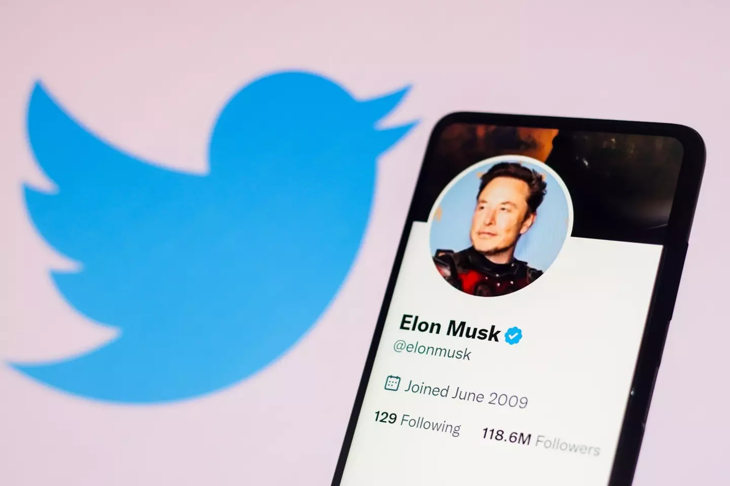 Not everyone has taken Elon Musk's tenure as Twitter boss very well.