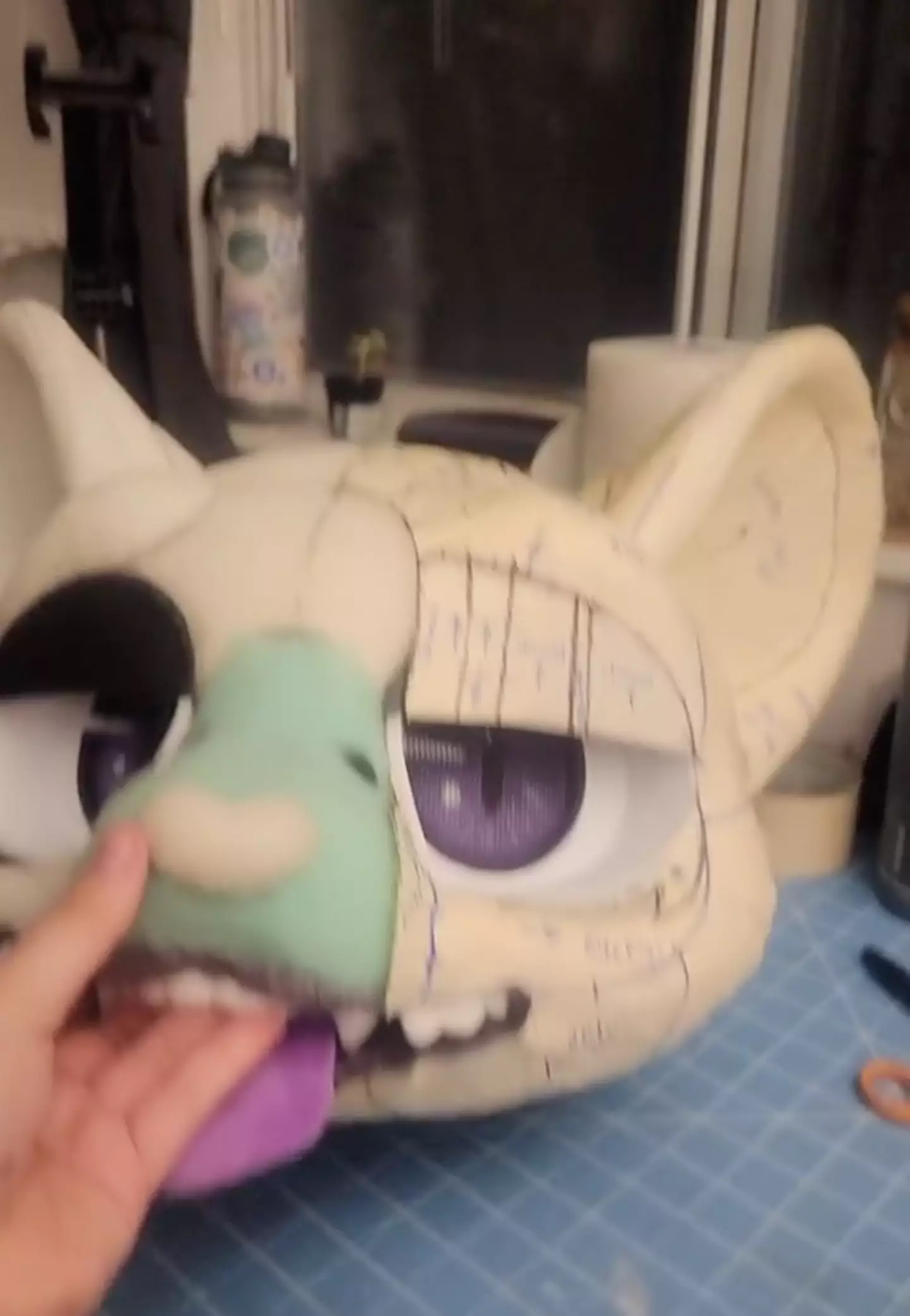 Flint makes her own fursuits and sells them online to other furries.