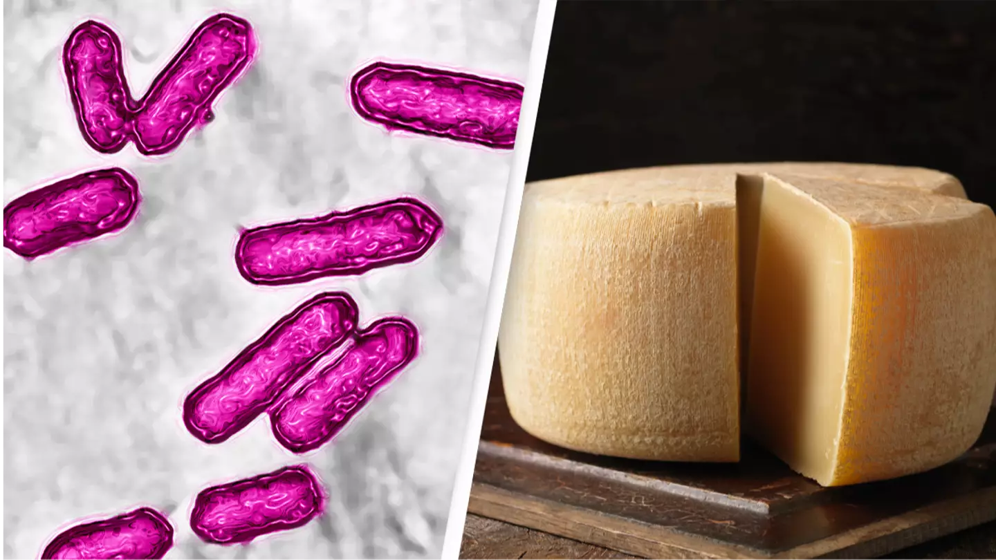 Deadly outbreak of listeria linked to deli meat and cheese