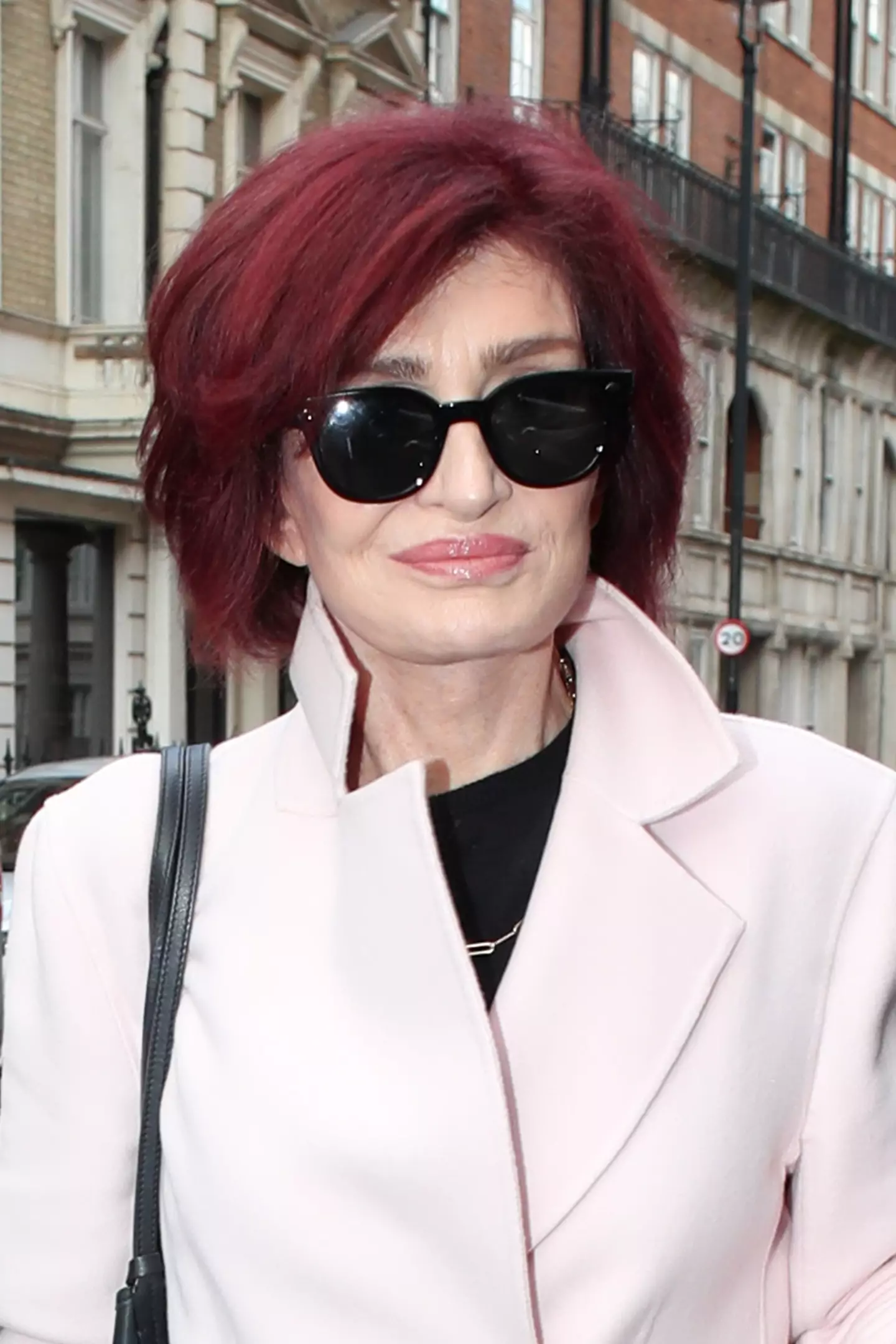 Sharon Osbourne is certainly not Ashton Kutcher's biggest fan.