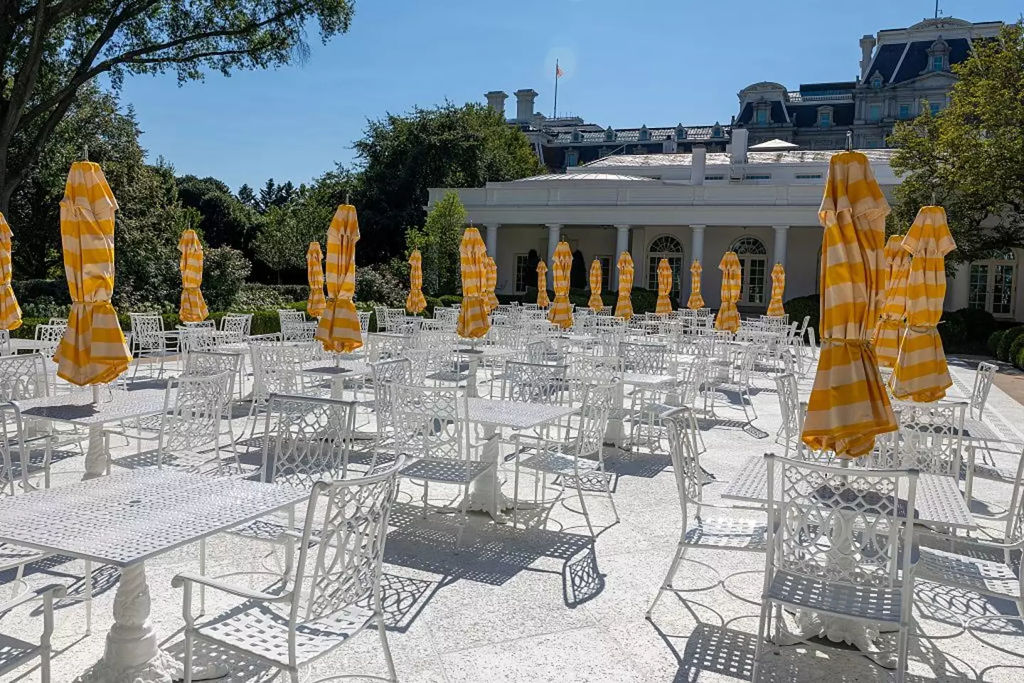 Trump paved over the infamous Rose Garden in summer (Tasos Katopodis/Getty Images)
