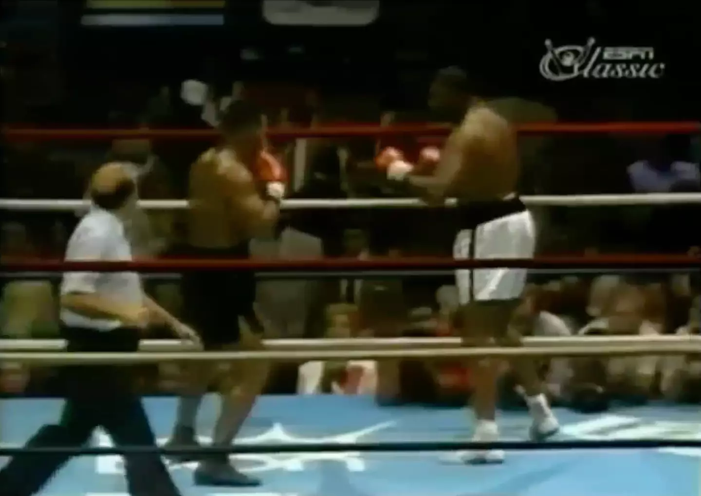 Mike Tyson vs Reggie Gross.
