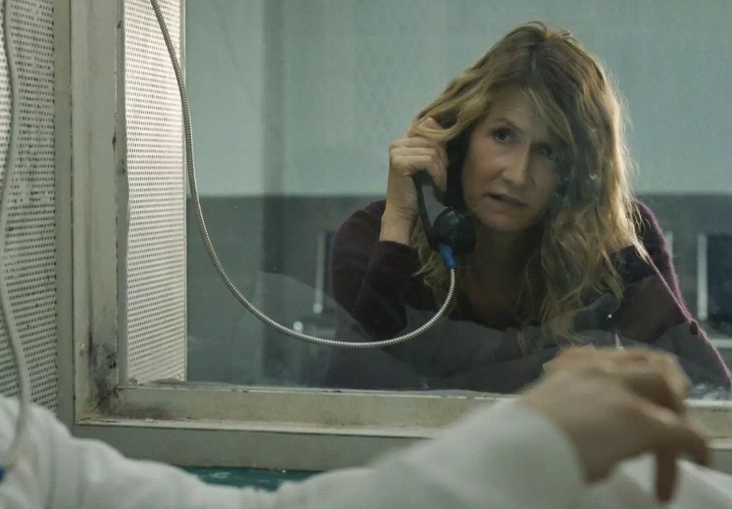 Laura Dern stars in Trial by Fire (Roadside Attractions)