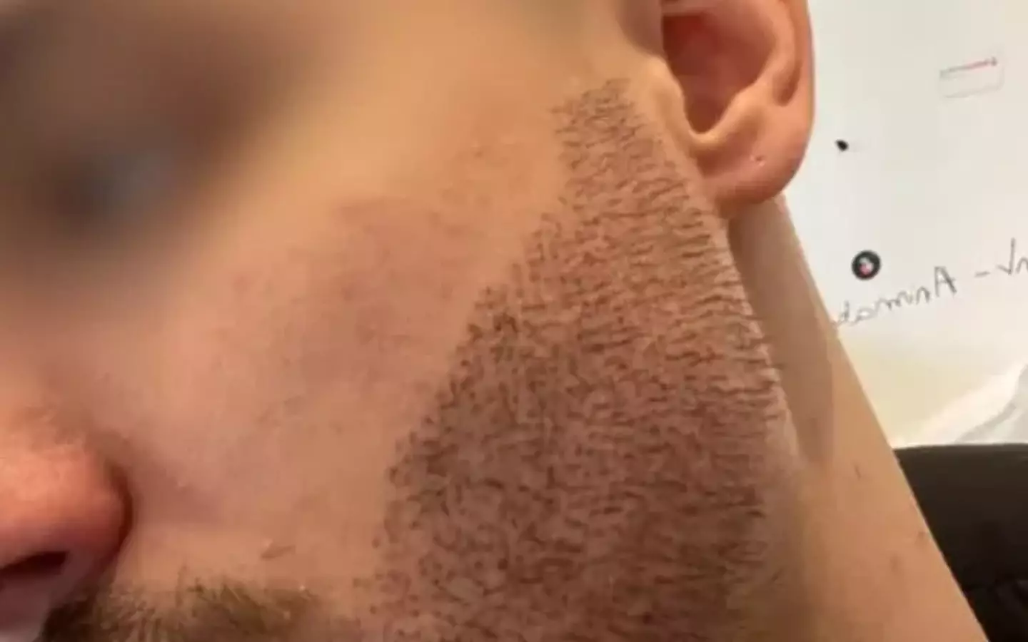 Mathieu Vigier Latour's beard was growing 'like a hedgehog' (Family handout)
