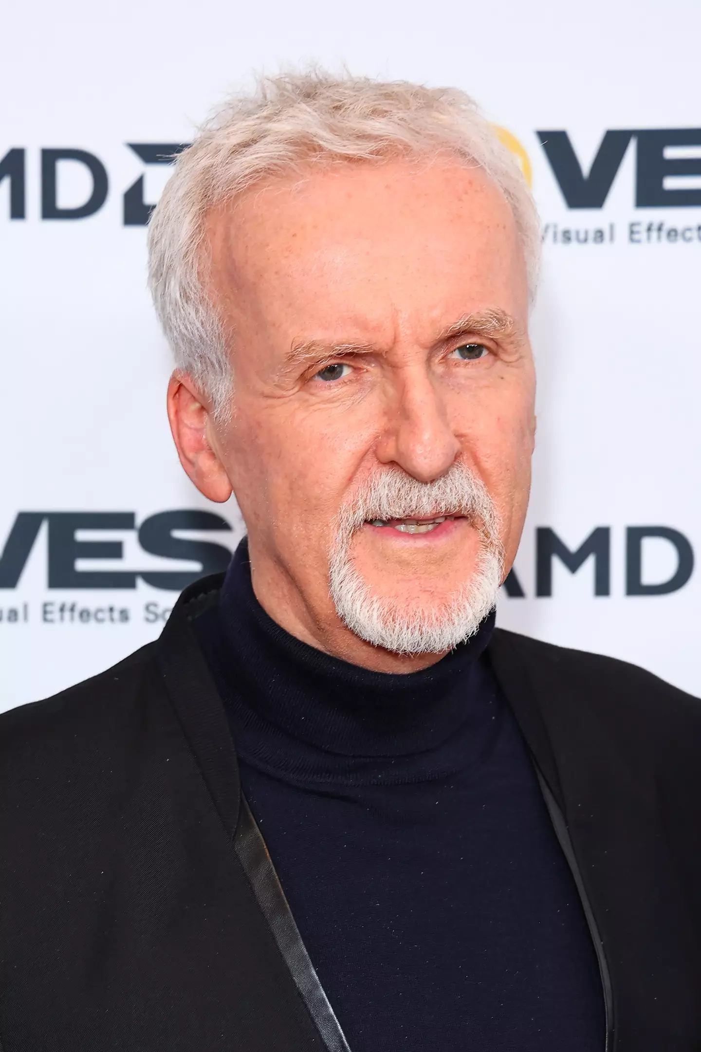James Cameron has hit back at claims he's working on a film about the Titan submarine.