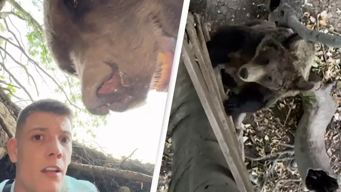 Instagram/@stefan_jankovich