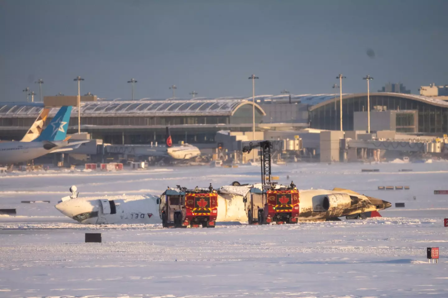 Delta has shared a statement on the matter (Katherine KY Cheng/Getty Images)