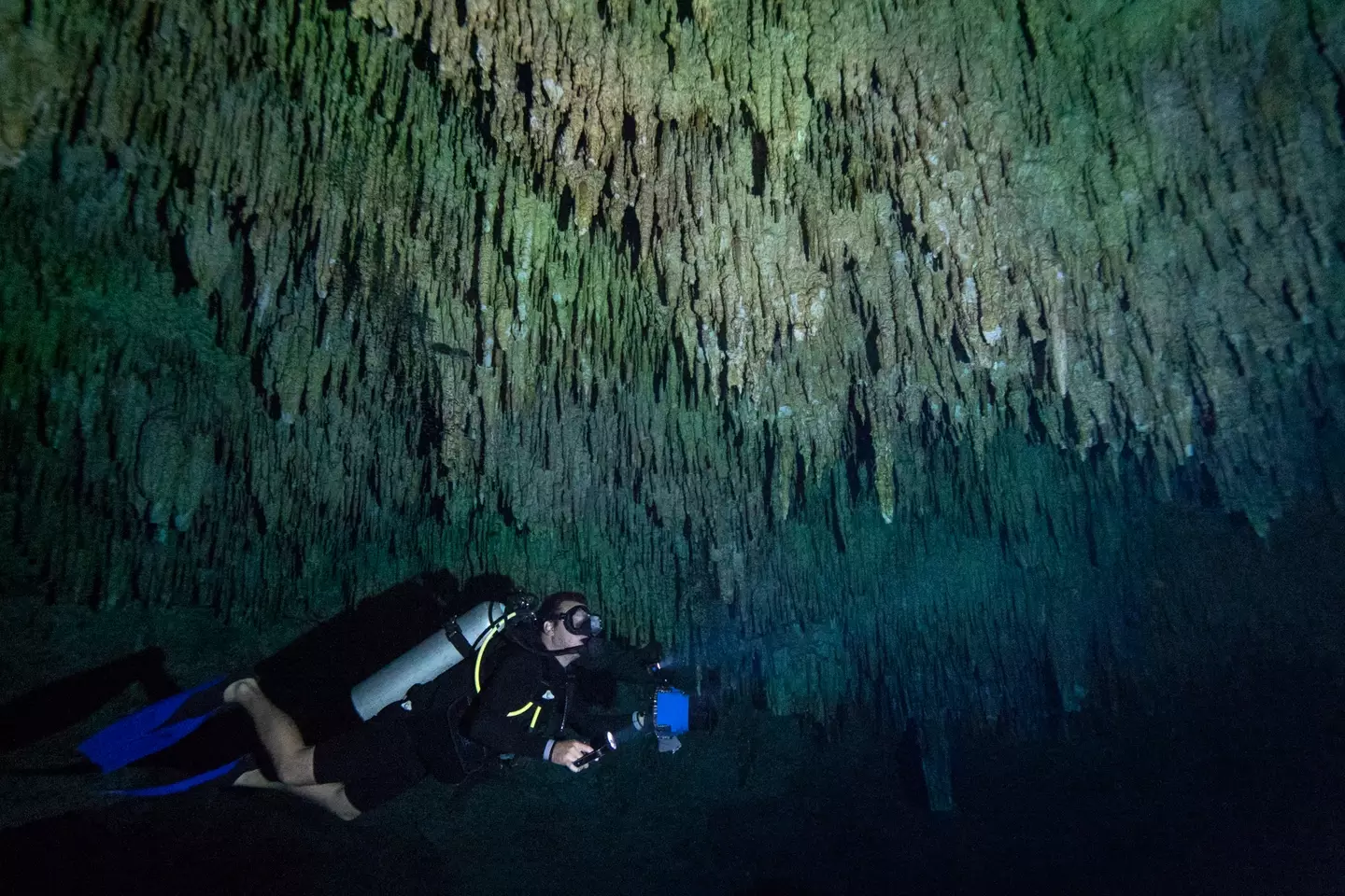 A scuba diver swims under stalactites in a massive underground, underwater cave in the Cenote Taj Maha in Quintana Roo, Mexico.