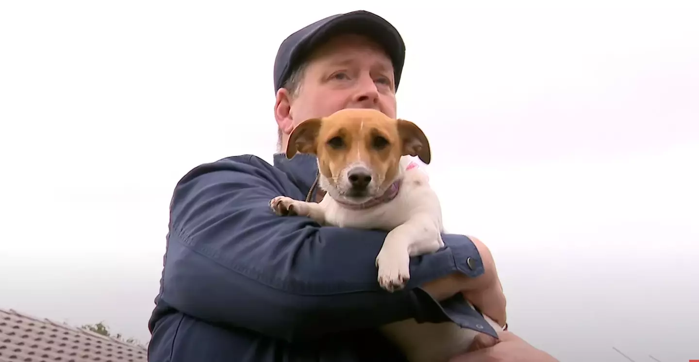Luna has been hailed a hero for her life-saving actions. (9News)