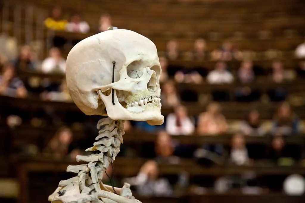 Many questions about the human body remain unanswered. (Getty stock)