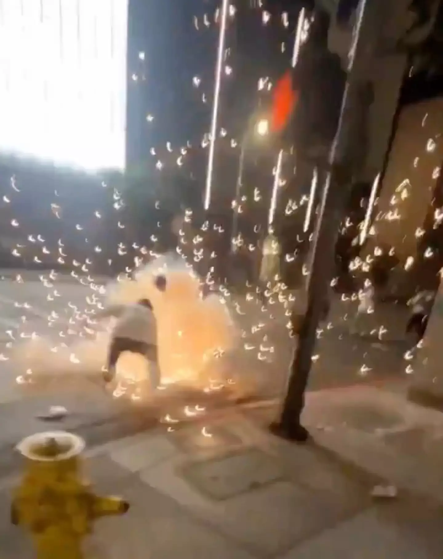 The fan set off a firework in downtown Los Angeles (X/Lakeshow_323)