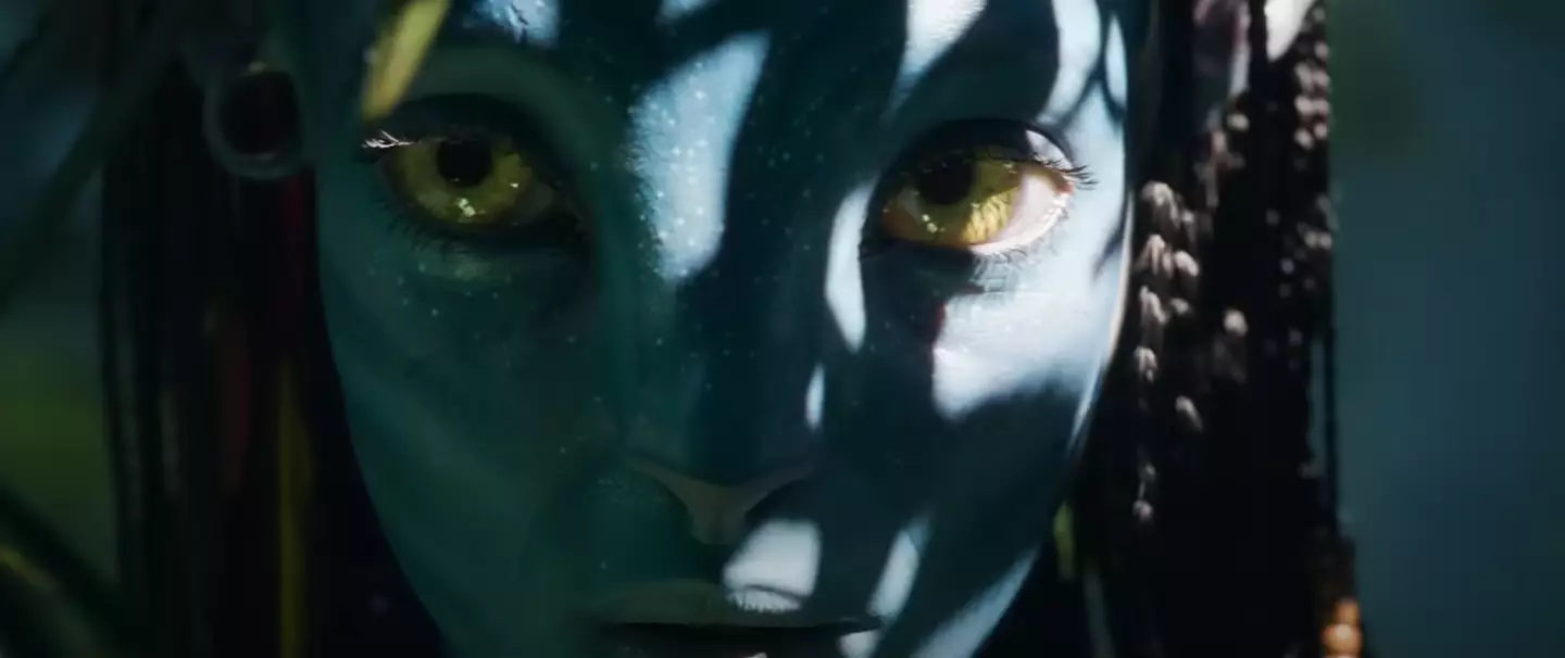 Avatar: The Way of Water was the highest grossing film of 2022.