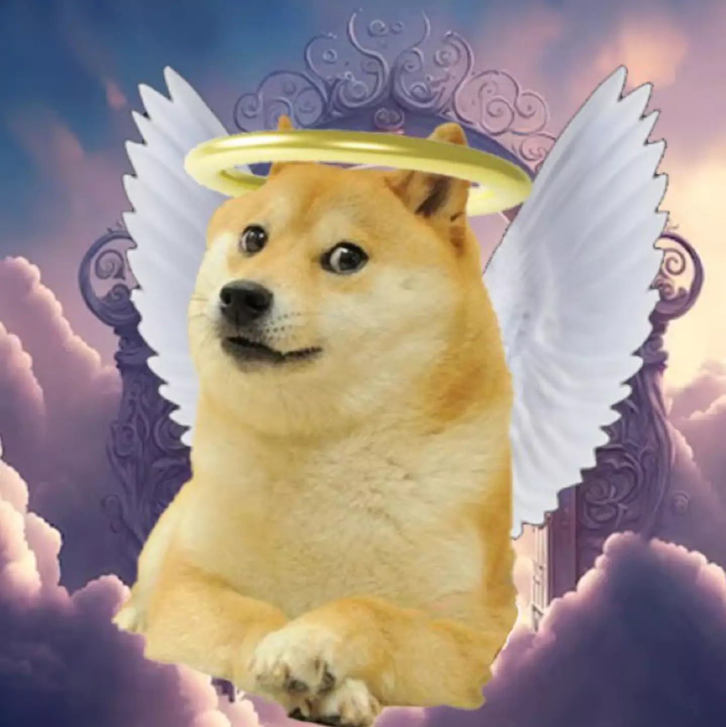 Fans have been paying tribute to Kabosu following her death. (X/@Harafcy)