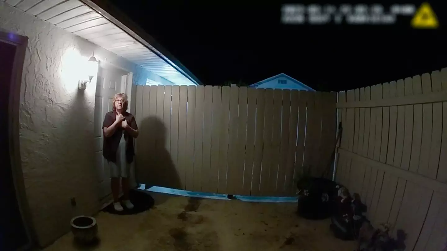 Susan Lorincz tried to claim she shot Owens in self defense (Netflix)