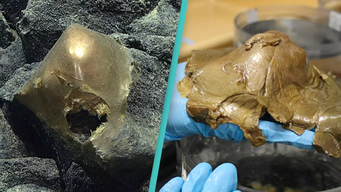 NOAA Ocean Exploration