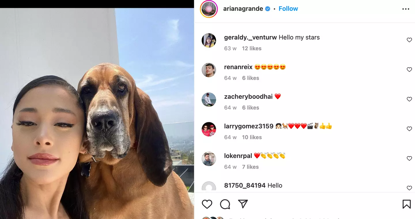 Ariana knows people love a pet pic.