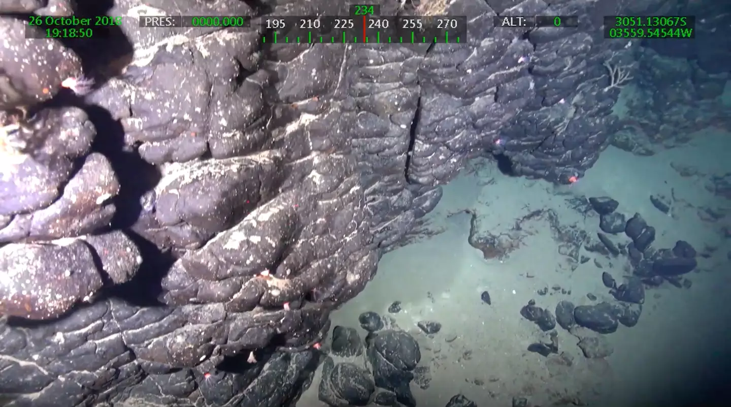 There is an investigation to determine whether Brazil can claim the resources (Researchers’ archive via Agencia FAPESP)