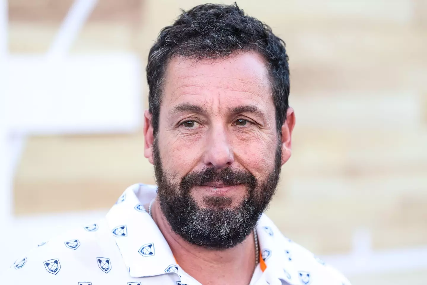 Sandler was once told he wasn't cut out for acting.