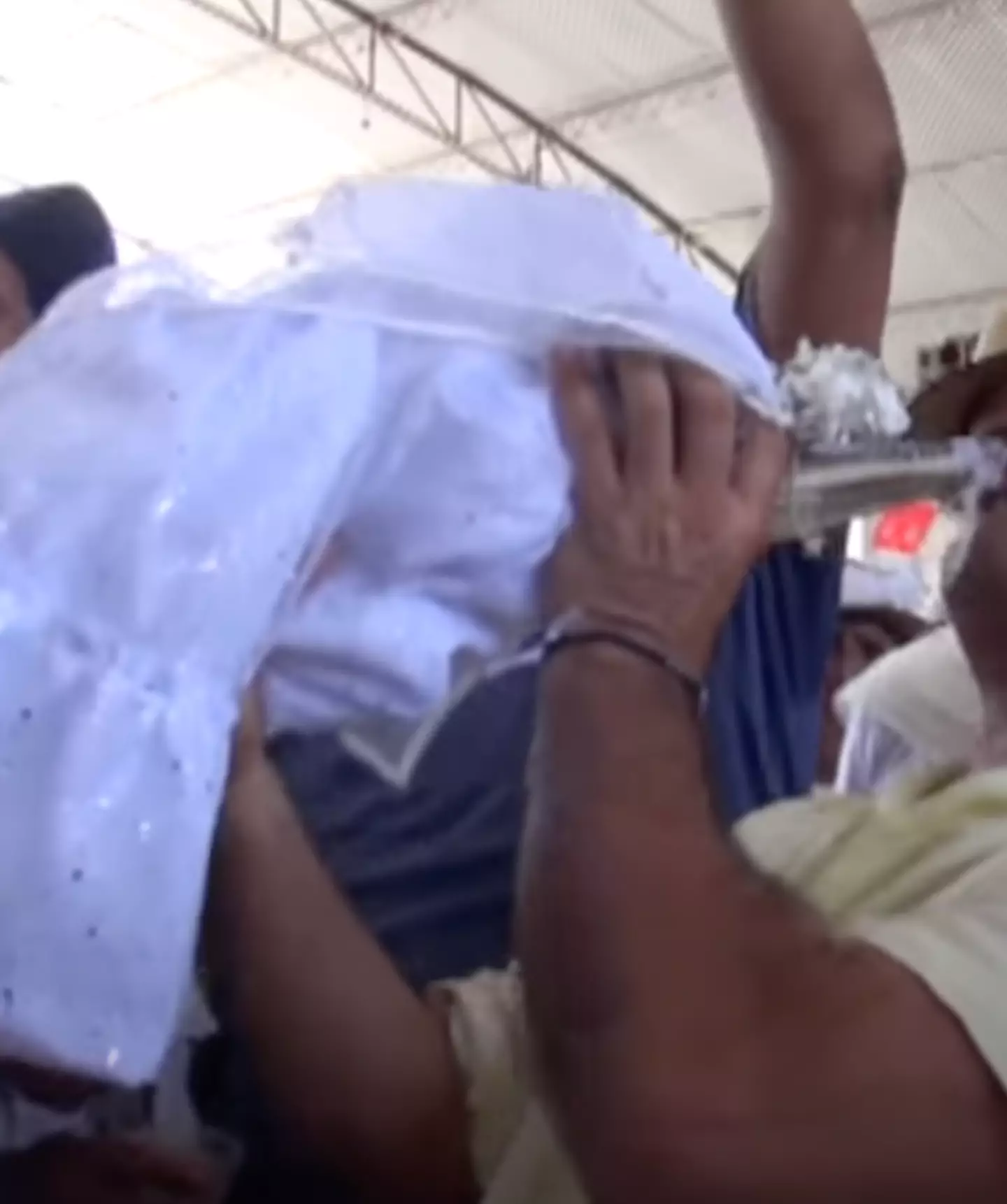 The princess alligator wore a white bridal gown.