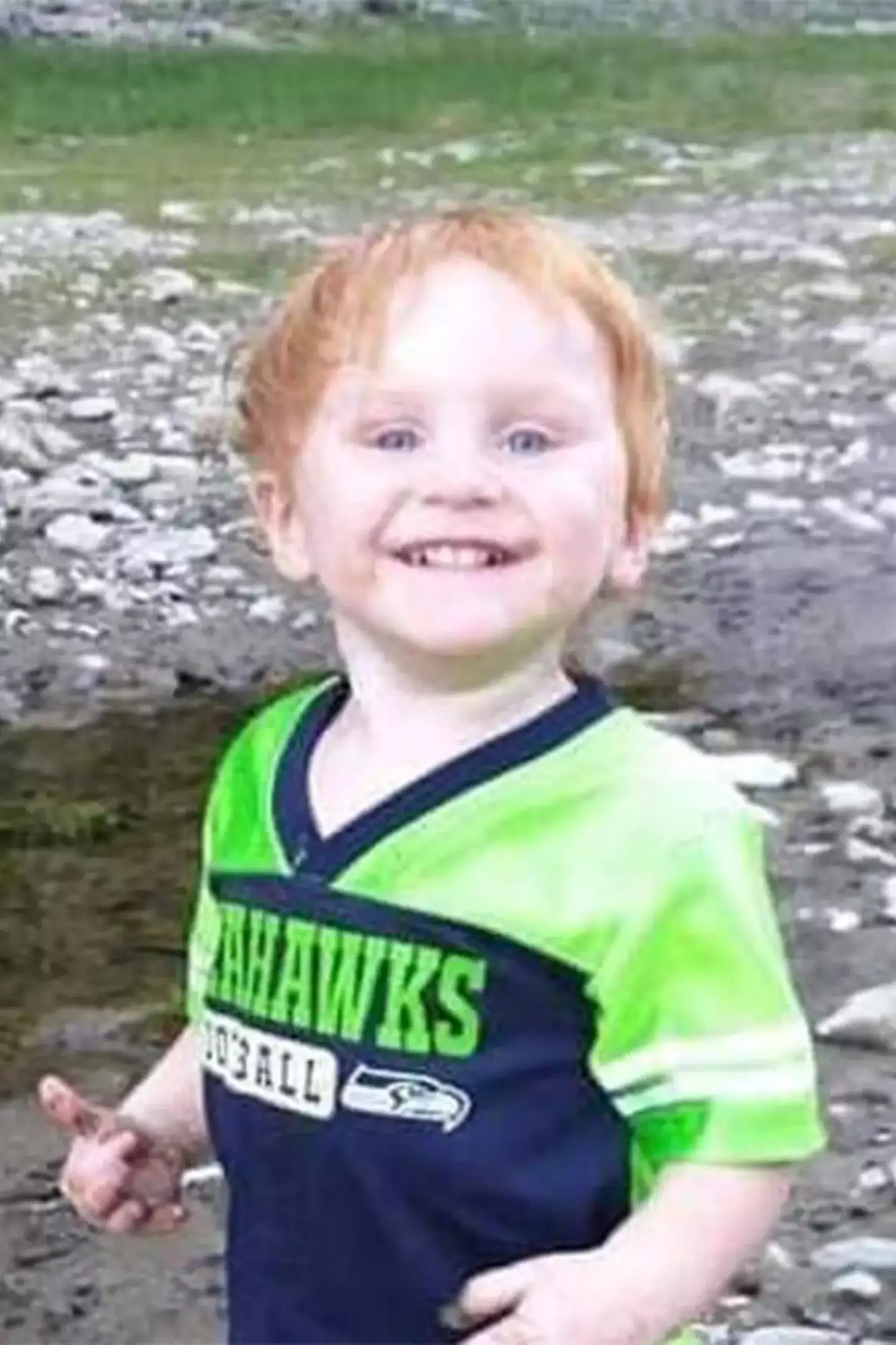 The boy was found alive and in 'good spirits'.